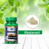 Cipzer Shatavari Capsules Ayurvedic Women Wellness Capsule for Hormonal Balance Restore Stamina, Strength and Energy 60 Capsules (Pack of 1) view 4