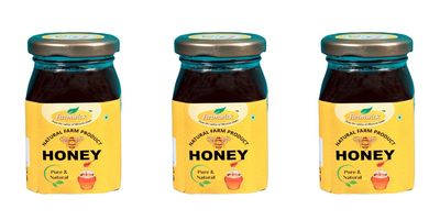 FARMWICK's Natural Honey - Pure and Delicious Farm Product - 250 Gm (Pack of 3)