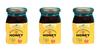 FARMWICK's Natural Honey - Pure and Delicious Farm Product - 250 Gm (Pack of 3) view 1