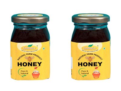 FARMWICK's Natural Honey - Pure and Delicious Farm Product - 250 Gm (Pack of 2)