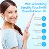US1984 Sonic Electric Toothbrush for Kids Adults with 5 Modes, 4 Brush Heads & Rechargeable Battery Last up to 30 Days, Ultra Soft, IPX7 Waterproof, Electric Power Tooth brush (Light Pink) view 4