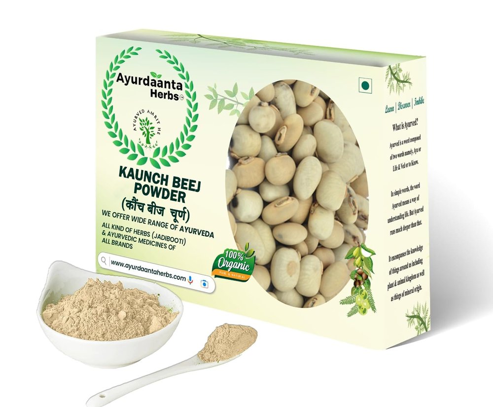 Ayurdaanta Herbs - White Kaunch beej, Konch Seed, Safed Koch ke beej Alkushi, Kauch, Mucuna Pruriens, Velvet Beans, Kapikachhu, Cowitch, Cowhage 500 GRAM