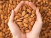 100% Natural Premium Almond | Badam & Dry Dates | Khajoor | Dry Fruit & Nuts 500 Gm (Pouch Pack) view 2