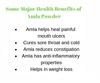 Indiana Amla Indian Gooseberry Powder for Hair and skin (200gm) view 3