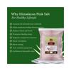 Changezi's Authentic Himalayan Pink Rock Salt Powder | Low Sodium Himalaya Pink Rocksalt cooking Powder Rock Salt | Additive-Free, Gourmet Grade, Signature Quality | Saindha Sendha Salt-850GM*6Pack view 2