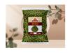 Ghotaram Organic DIET Bhuna Hara Matar Green Salty Masala Peas Vatana Chakhna Namkeen Snacks | Sing Hara Matar Green Salty Masala Peas Watana | Green Matar Roasted Spicy Peas-280g*3Pack view 3