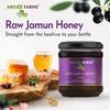 ANTAJI FARMS Raw Jamun Honey Pure and Natural, Unprocessed & Unpasteurized Healthy Honey | Harvested from Wild Honey Bee Hive Honey Reusable Airtight Jar (500gm) view 4