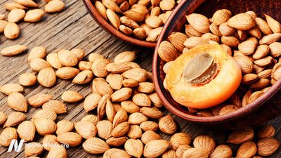 A D Food & Herbs Bitter Apricot Kernels Raw Unprocessed Fresh and Natural (20 GMS x Pack of 3)