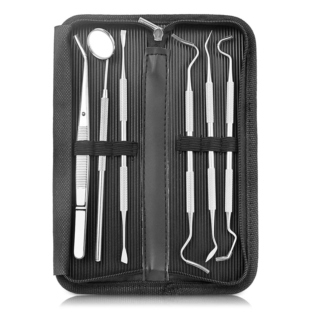 GOLDFINCH Professional Dental Tools Kit,6 PCS Teeth Cleaning Tools Set,Oral Care Kit with Tooth Pick, Dental Mirror, Tartar Scraper, Dental Probe