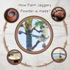 Food Mynk Palm Jaggery Powder (250g) | Palm Sugar | Palm Jaggery Powder | Karupatti Powder | Thati Bellam Powder (250g) view 3