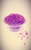 Hillbutiveda Anardana Powder, Pomegranate Seed Powder, Dry Anardana Churna AnarDana (250) view 2