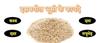 Ayurvedic Zone Nature psyllium husk Isabgol | Provides Effective Relief from Constipation | Promotes Bowel Health | Boost Gut Health | Non Habit Forming | 100% Ayurvedic (1 Kg) view 3