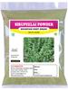 3V PRODUCTS Sirupeelai Powder - Pack of 2x50g - Mountain Knot Grass | Aerva Lanata | Kondapindi view 1