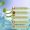 INDO BIO ORGANICS Aloe Vera Gel Toothpaste Germ Cavity Protection Sensitivity Relief Toothpaste 150 gram (Pack of 2) view 2