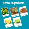 18 Herbs Organics Health with Herbs Slimming Tea Bags - Natural Herbal Detox Tea Bags - Get Slim And Fit - Improves Digestion - 40 Organic Infusion Tea Bags - Pack Of 2, Ginger, 62 Gram view 3