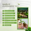 Eight Petals Lotus Peppermint Herbal Tea | Soothing & Relaxing | Perfect for Cooling Refresh | Gluten Free | No Chemical | Caffeine Free | 100% Natural | 50g Tin view 3