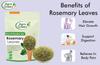 Agrogreen Rosemary Dried Leaves For Hair Growth With Applicator 100% Pure & Natural - Rosemary Herb Tea - 200gm view 3