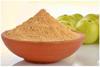 PRINZIP Amla Fruit Powder (200gm) view 2