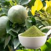 STAMIO Baelpatra Powder 750 gm | Bilva Leaves, Bel Patra/Leaf, Aegle marmelos | Digestive Health | Diabetes | In Pouch 26.46 oz view 4
