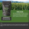 STAMIO Wheat Grass Powder 250 gm for Men & Women | Triticum aestivum | Immunity | In Pouch 8.82 oz view 3