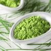 STAMIO Wheat Grass Powder 250 gm for Men & Women | Triticum aestivum | Immunity | In Pouch 8.82 oz view 4