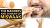 Al Asr natural herbal miswak stick ideal for evryone (pack of 10) view 2