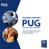 Pug Back Support (Pack of 1) | The Ultimate Solution for Back Pain Relief | Ergonomically designed for the Indian body | Offers Ideal Support, Eases Pain, and Enhances Flexibility with breathable Lumber Pad Cushioning and Lower back Brace view 4