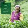 PRIDE OF HIMALAYA Joint Support Tea Teabag view 4