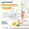 Econice Natural Low Foaming Dishwash Liquid 500 ML | Plant-Based Ingredients | Baby Safe Skin Safe Pet Safe | Eco-Friendly Non-Toxic Biodegradable Cleaner (500ml pack of 4) view 2