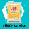 GAVYRATAN Pure & Premium Skimmed Milk Powder with Extra Protein 500Gm | Perfect for Making Tea & Coffee (Pack of 1) view 4