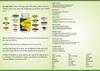 Aaycon Natural Green Nutrition Tablets 60 Tablets Pack Of 4 view 3