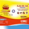 SALICAL STRONG Ringworm Ointment for Skin and Fungal Infection (15g X 24) view 4
