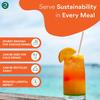 ECO SOUL [8 mm, 100 Count] Biodegradable Paper Straws | Eco-Friendly Compostable Sustainable Disposable Drinking Straws | Juice Smoothie Thick Shakes Non-Bendable White Straws (Wide) view 3