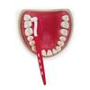 Medicept PROTEC Angled Interdental Brush NARROW Space (PINK)- Pack of 3 view 4