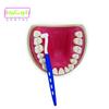 Medicept PROTEC Angled Interdental Brush Wide Space (BLUE)- Pack of 3 view 4