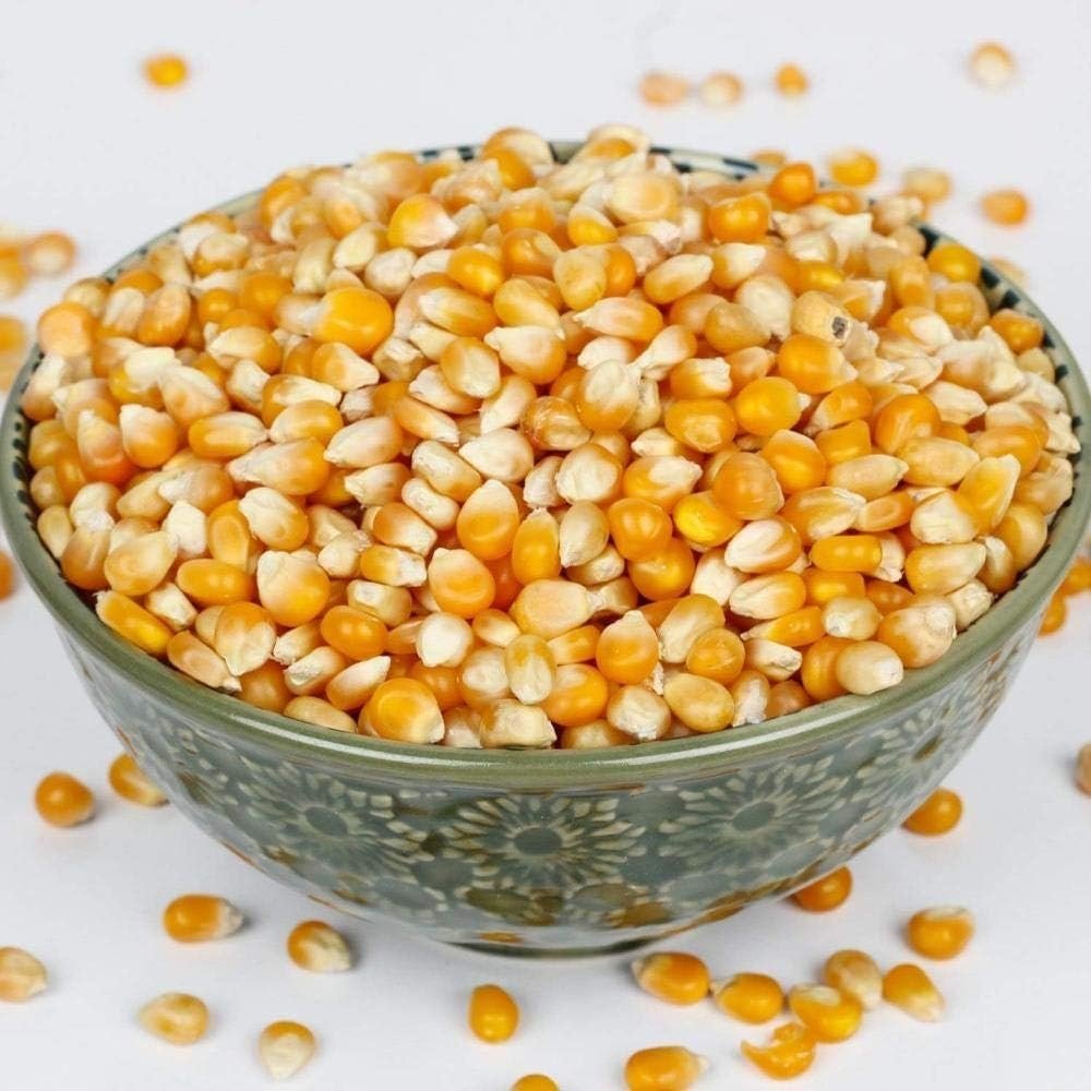 Diwali Sale Organic Popcorn Kernels (Makka Sabut) - 500 Grm Packing Rich in Nutrients & Fibre Great Indian Festival