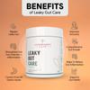 Autoimmunity care : Leaky Gut Care - Complete Gut Support|Fights Infections,Anti-Inflammatory|With L Glutamine,Zinc Carnosine,Aloe Vera,Vegan,Non-Gmo|180 G,Powder,1 Count,30 Servings view 4
