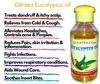 100% Pure Nilgiri (Ooty) Eucalyptus Oil, Natural & Farm Fresh Nilgiri tel For Cough & Cold, Headache, Body & Muscle & Joint Pain, Aromatherapy, Mehandi and Diffuser (60ml+60ml) view 2