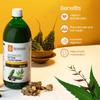KRISHNA'S HERBAL & AYURVEDA Ayurvedic Detox Juice 1000 ml | Ayurvedic Detoxification | Perfect combination of giloy, karela, jamun & neem view 2