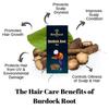 Botanical Sage- Burdock Root Tea 40 Pyramid Tea Bags | Good For Skin & Hair | Selected | TeaCut | Luxury Tea view 4