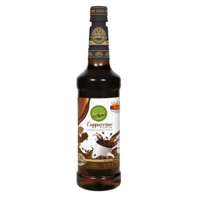 Raj Special Mocktail Syrup for Parties, Assorted Flavours Mocktail Mixer Syrup, 500 ml (Cappuccino)