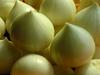 RR AGRO FOODS Single Clove Garlic 400 GM (Single piece garlic/Fresh garlic/One Kuli Lehsun/Ek Pothi Lahsun/GARLIC/Immunity Booster) Pack of 1 view 4