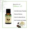 ANCIENT HEALER Babassu Essential Oil - 100ml | Natural & Organic Scent for Skin, Face, Hair, Aromatherapy, Candle Making | Pure Babassu Oil for Skincare and Relaxation view 4