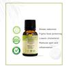 ANCIENT HEALER Bergamot Essential Oil Natural & Organic -Essential Oil for Skin, Face, Hair, Diffuser, Candle Making for Skincare and Aromatherapy with Pure Scent Oil-100 ml view 3