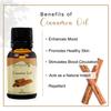 ANCIENT HEALER Cinnamon Essential Oil | Natural & Organic Scent Oil for Skin, Face, Hair, Aromatherapy & Candle Making | Pure Oil for Skincare & Relaxation | Diffuser & Candle Making Ingredient -60ml view 4