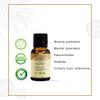 ANCIENT HEALER Sandalwood Essential Oil | Natural & Organic Oil for Skin, Face, Hair, Aromatherapy & Candle Making | Pure Oil for Skincare & Relaxation | Diffuser & Candle Making Ingredient - 15ml view 2