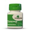ECOHERB Punarnava Tablets | Boerhavia diffusa| 60 Tablets view 1