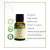 ANCIENT HEALER Peppermint Essential Oil | Natural & Organic Scent Oil for Skin, Face, Hair, Aromatherapy, and Candle Making | Pure Oil for Skincare and Relaxation - 60ml view 2