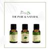 ANCIENT HEALER Peppermint Essential Oil | Natural & Organic Scent Oil for Skin, Face, Hair, Aromatherapy, and Candle Making | Pure Oil for Skincare and Relaxation - 60ml view 3