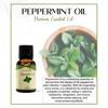ANCIENT HEALER Peppermint Essential Oil | Natural & Organic Scent Oil for Skin, Face, Hair, Aromatherapy, and Candle Making | Pure Oil for Skincare and Relaxation - 60ml view 4